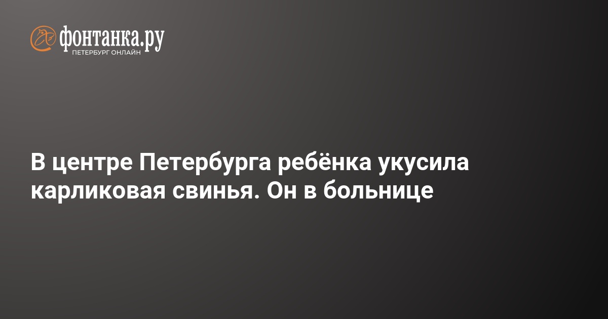 В центре Петербурга ребёнка укусила карликовая свинья, он в больнице – 20 октября 2024