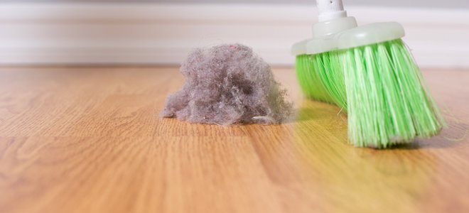 Combating Unwanted Holiday Guests: Dust Bunnies | DoItYourself.com