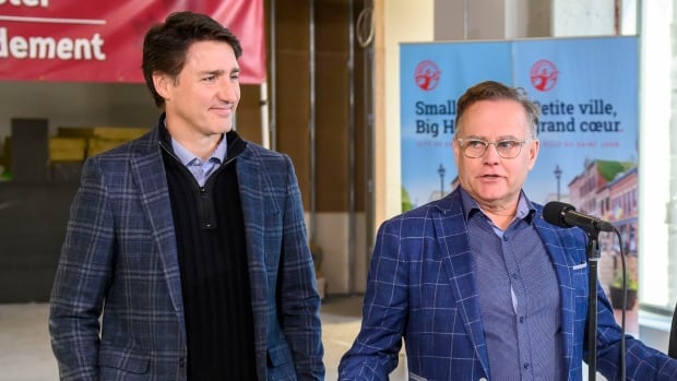 Next steps in Trudeau’s caucus revolt up to each MP, says Liberal backbencher | CBC News