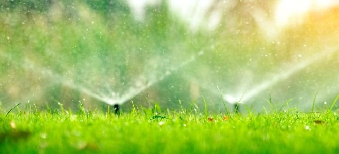 What Time To Run Your Sprinklers | DoItYourself.com