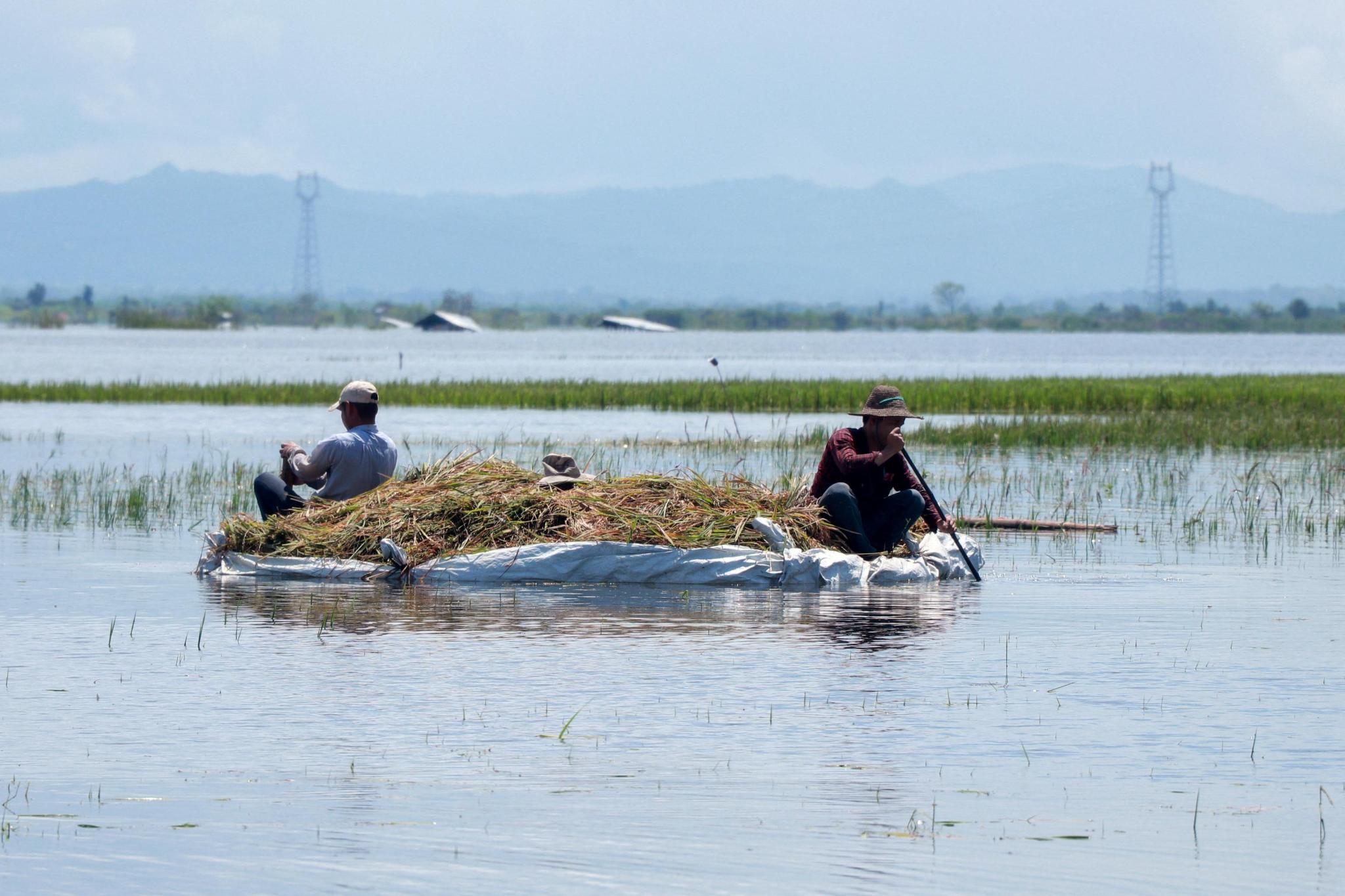 စစ်ဘေး၊ရေဘေးကြား တောင်သူများ၏ အကျပ်အတည်းနှင့် စားနပ်ရိက္ခာဖူလှုံမှု – Myanmar Now